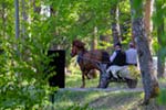 isotkuvat/IMG_2154w.jpg 